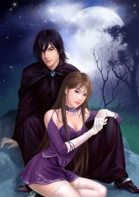 上门佳婿