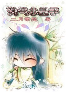 淘氣小皇子