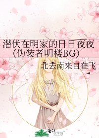 潜伏在明家的日日夜夜（伪装者明楼BG）